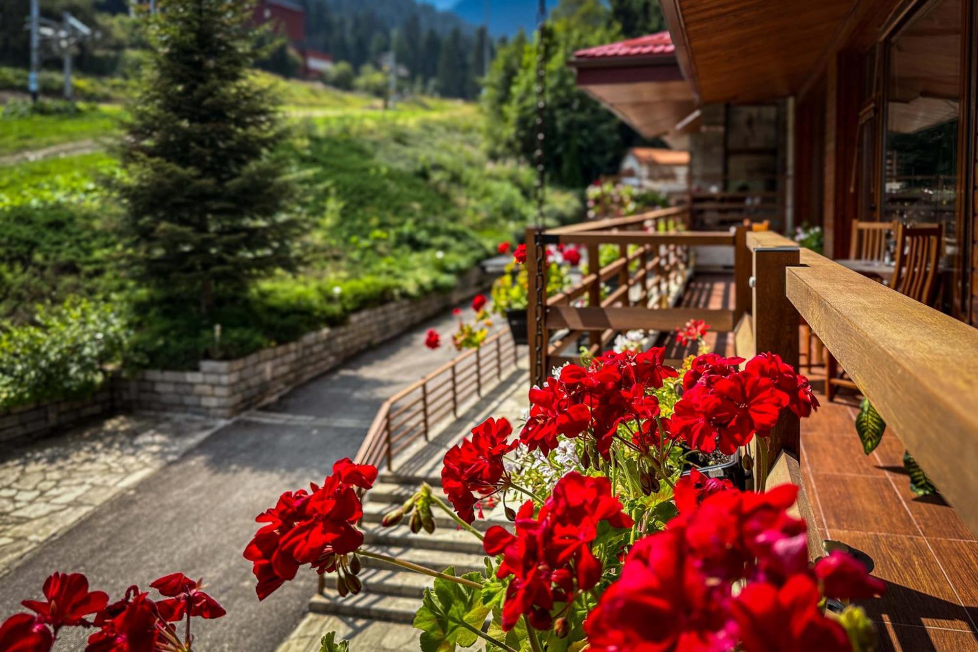 Musala Hotel Borovec Exteriér fotografie